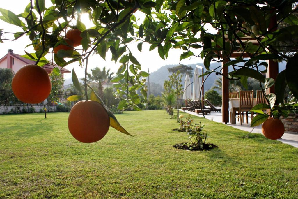 Gocek Arion Hotel Göcek Exterior foto
